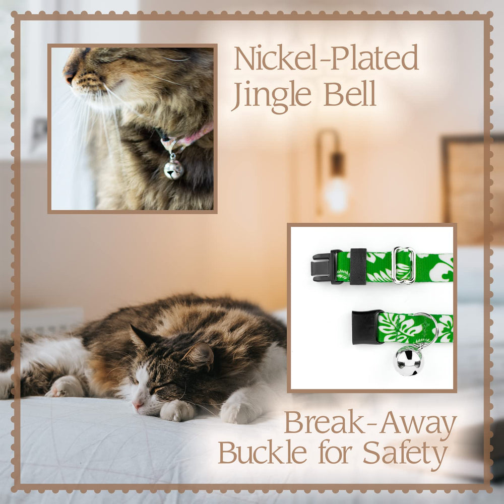 Country Brook Design rattlesnake cat collar on model demonstrating lightweight comfort