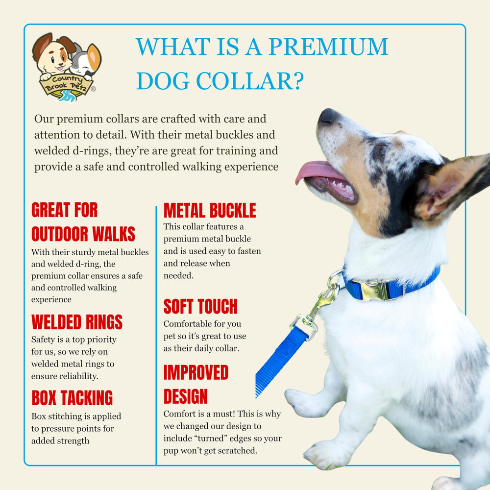 Country Brook Petz adjustable strap 13-16 inches—custom fit for growing dogs.