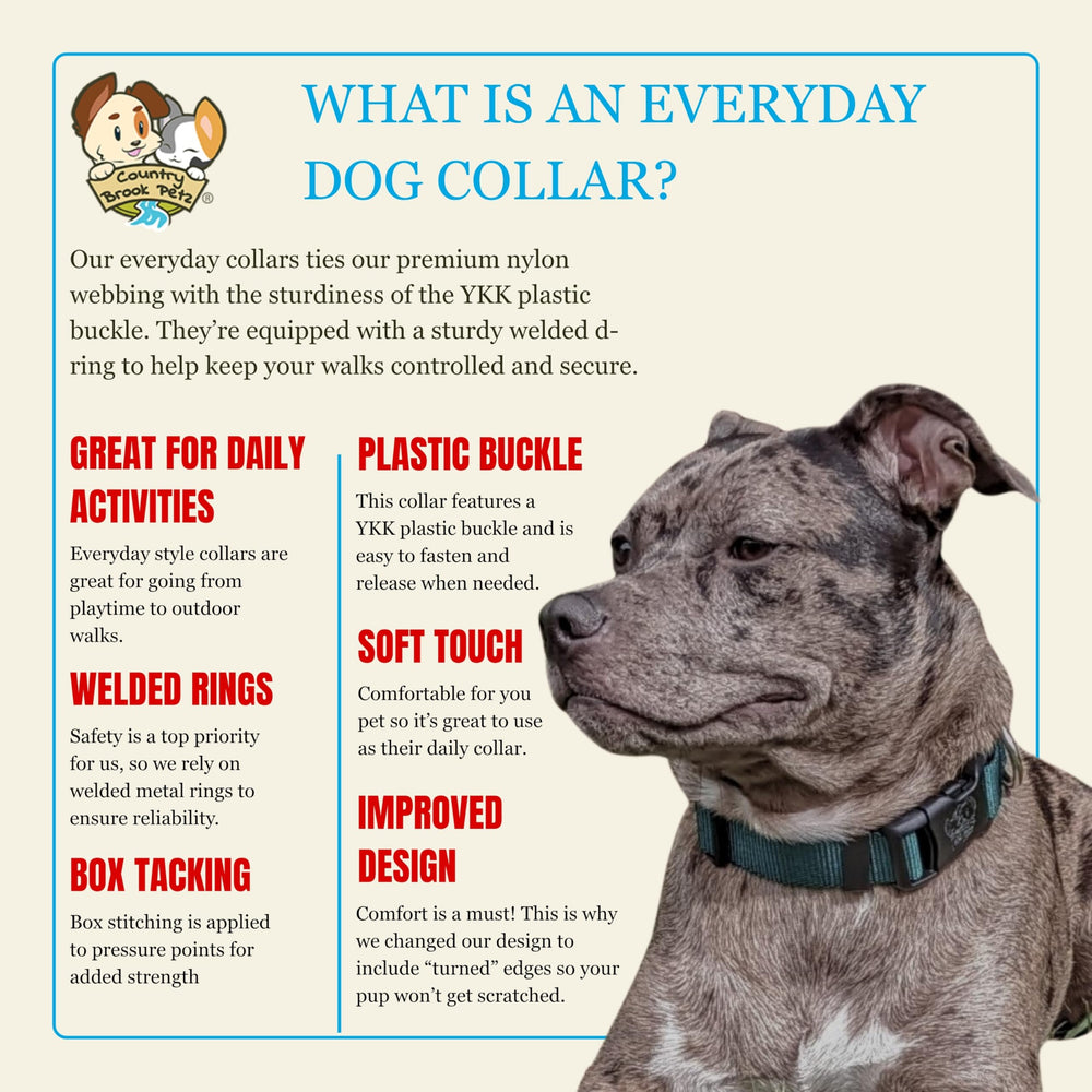Country Brook Petz collar USA sewn hardware ensures durable security