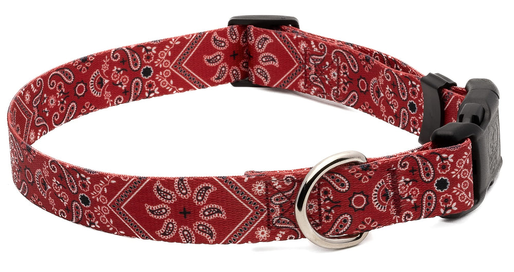 Country Brook Petz Deluxe Red Bandana Collar ready-to-ship packaging for gifting