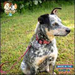 Country Brook Petz Deluxe Red Bandana Collar red bandana texture shows durable colorfast material