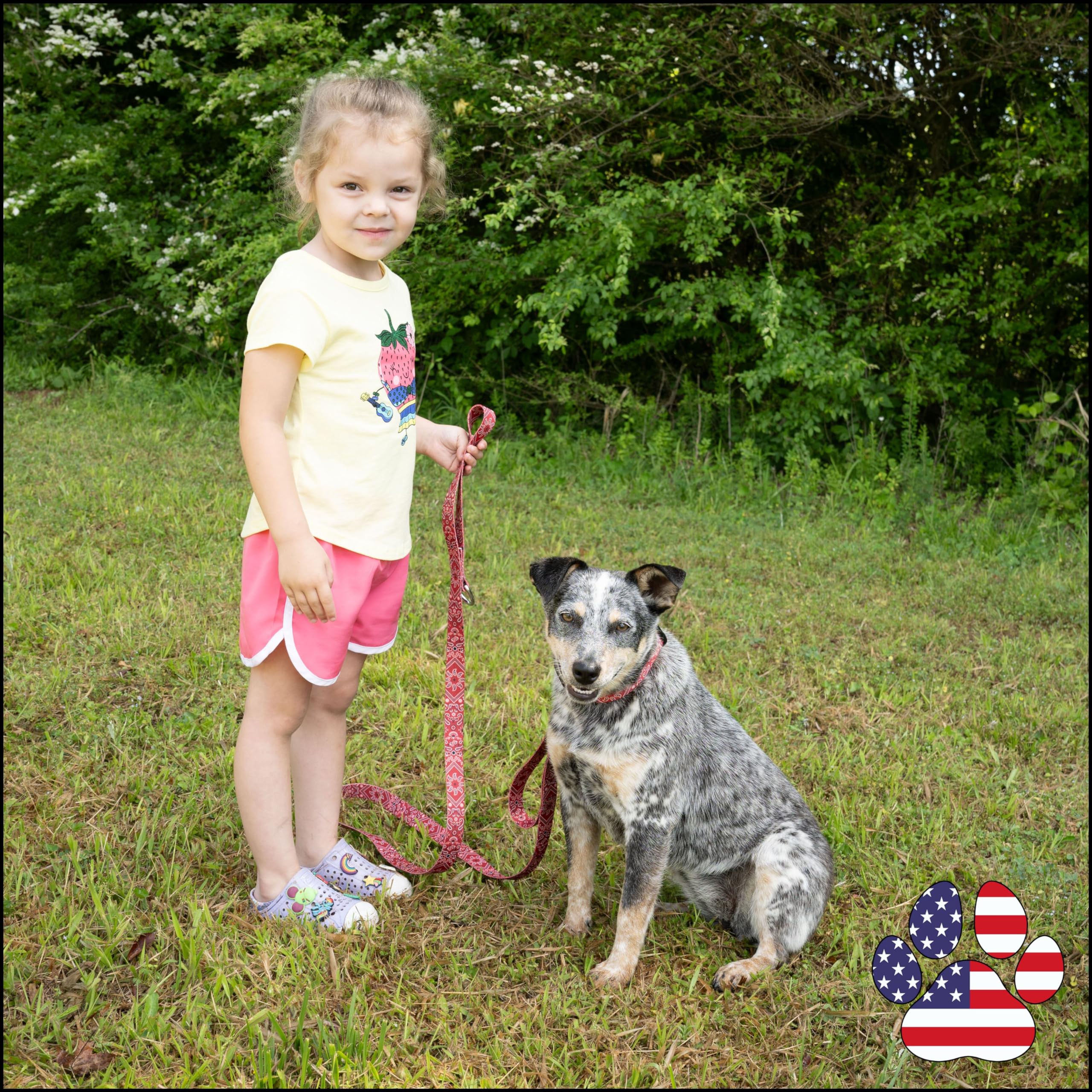 Country Brook Petz Deluxe Red Bandana Collar USA-made label highlights domestic craftsmanship