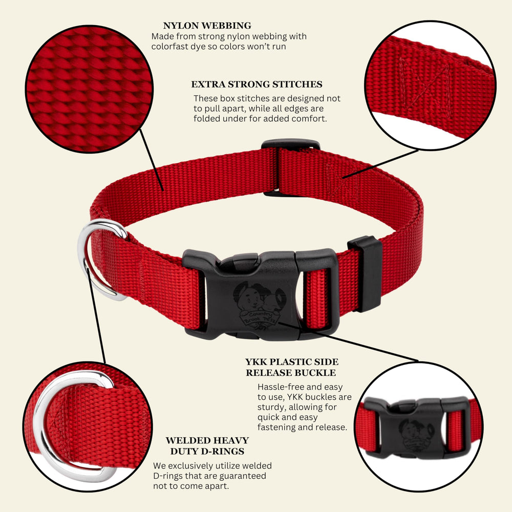Country Brook Petz everyday collar hugs your dog with a snug, comfortable feel.