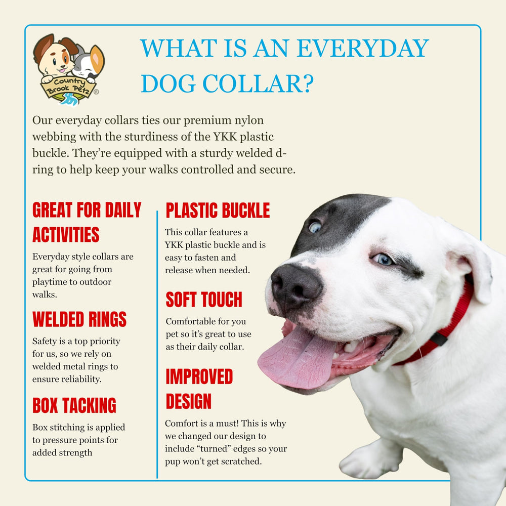 Country Brook Petz collar is machine washable for effortless cleanup after muddy walks.