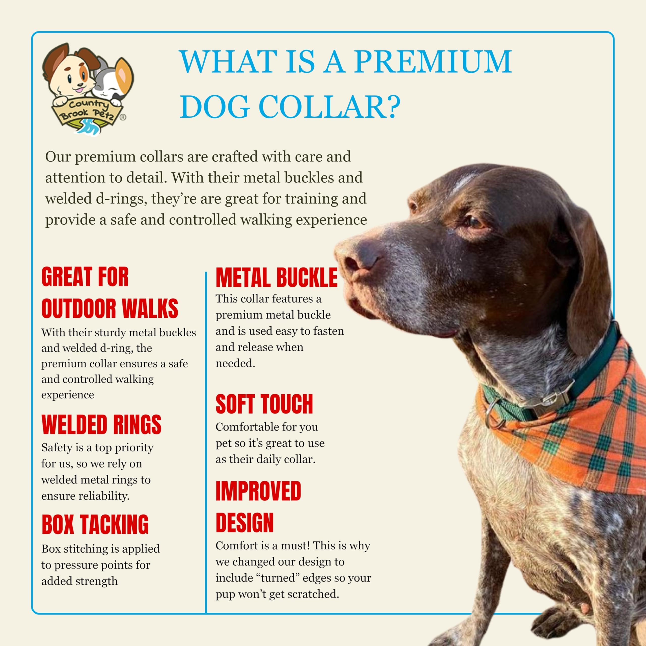 Country Brook Petz extra-large green collar on dog during a walk; durable for outdoor adventures.