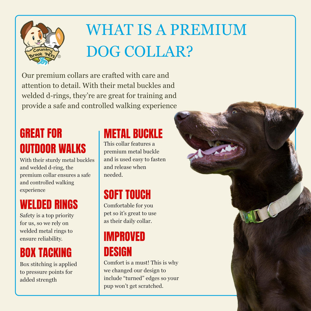 Country Brook Petz premium nylon collar metal quick-release buckle for easy on and off