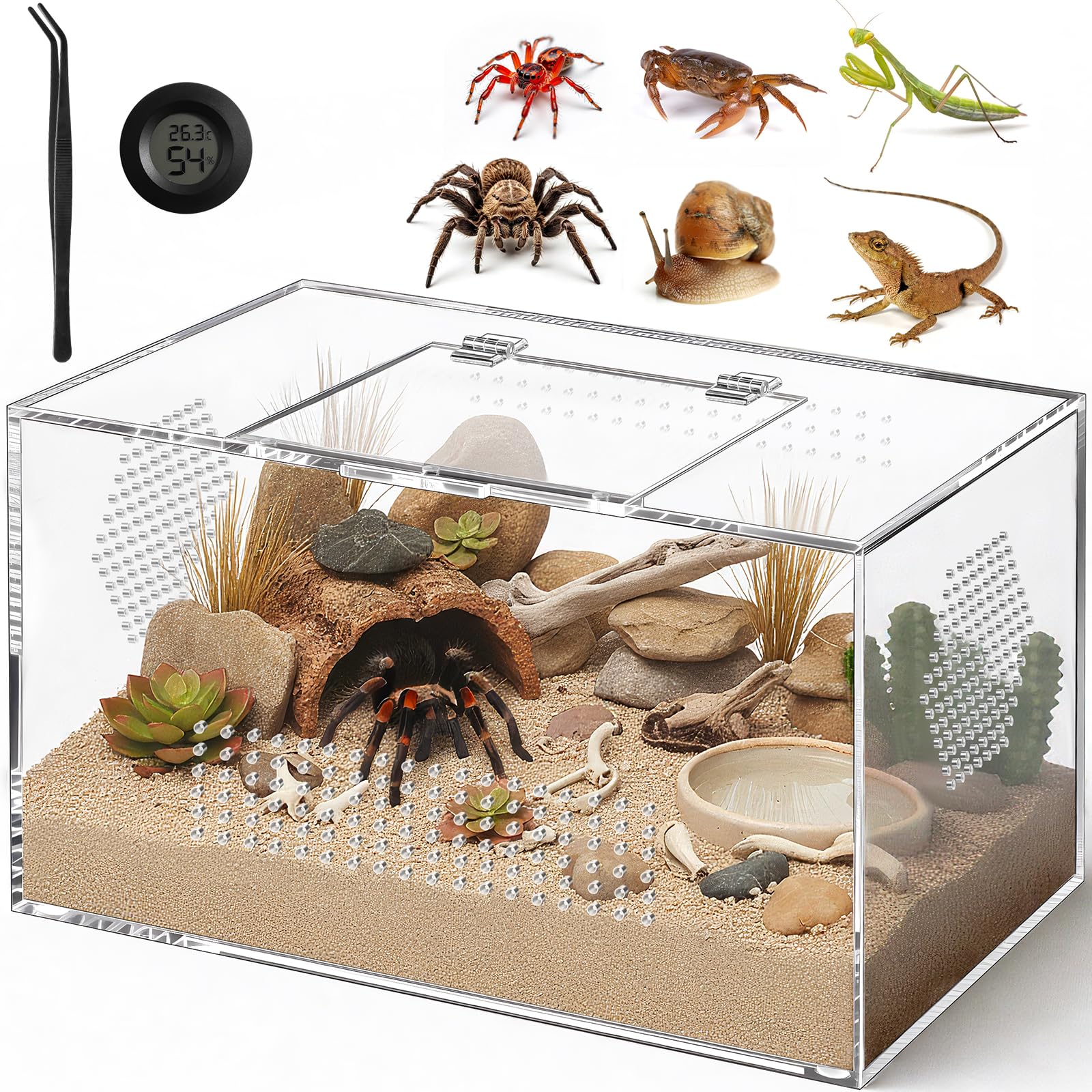 CourtyardAid acrylic tarantula enclosure side view with all-side vents for steady airflow.
