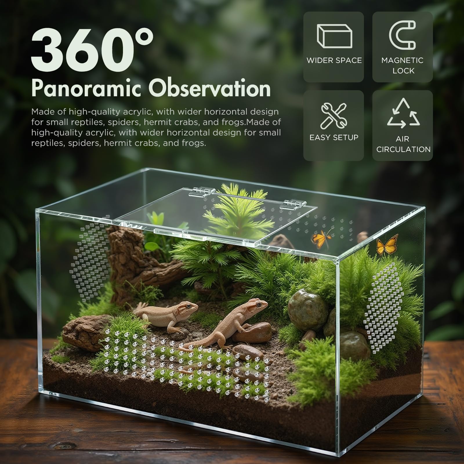 CourtyardAid tarantula enclosure top view showing magnetic top-flip access for easy feeding.