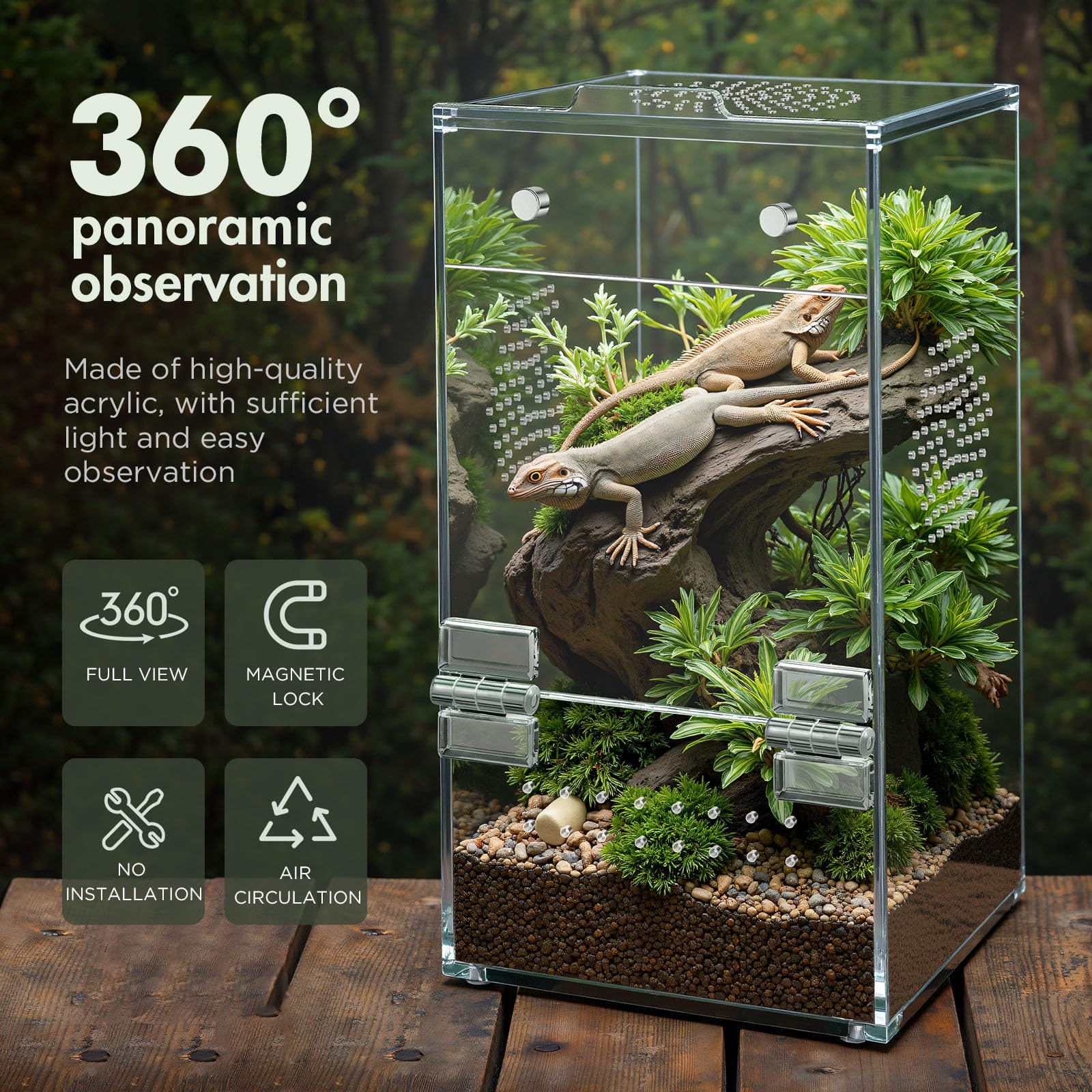 CourtyardAid acrylic terrarium 360-degree view allows monitoring from any angle.