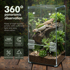 CourtyardAid acrylic terrarium 360-degree view allows monitoring from any angle.