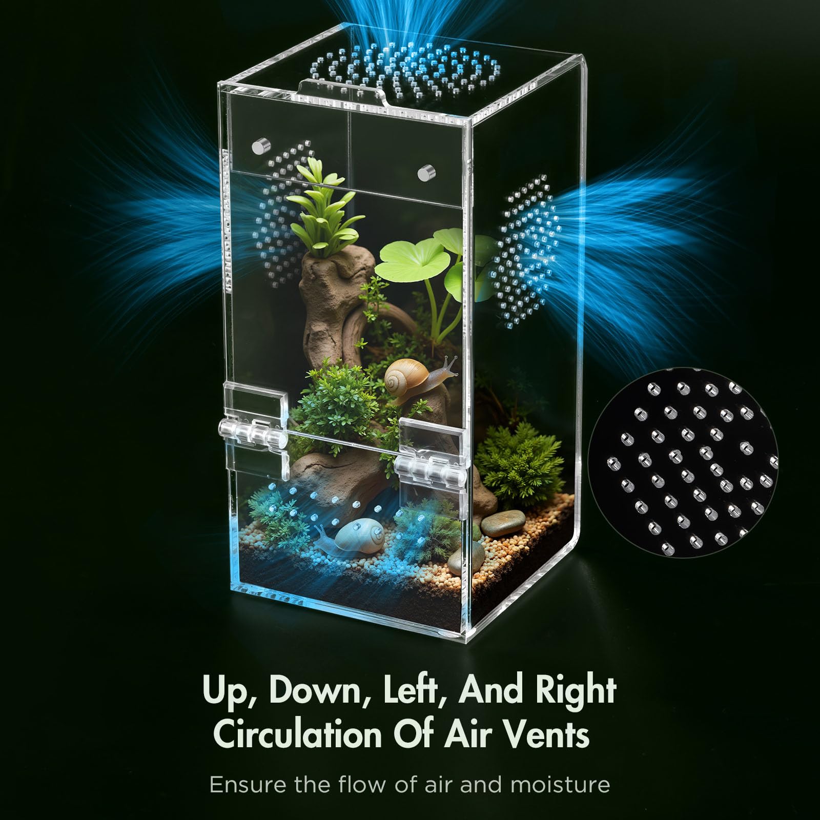 CourtyardAid sealed-base design demonstrates leak-free, mess-free habitat.