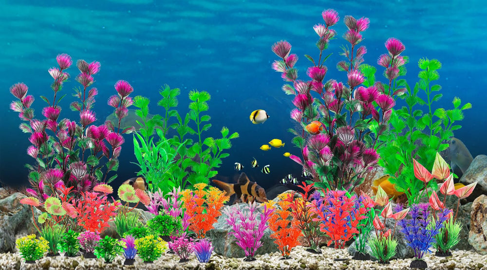 CousDUoBe aquarium plants various styles and heights for layered aquascapes