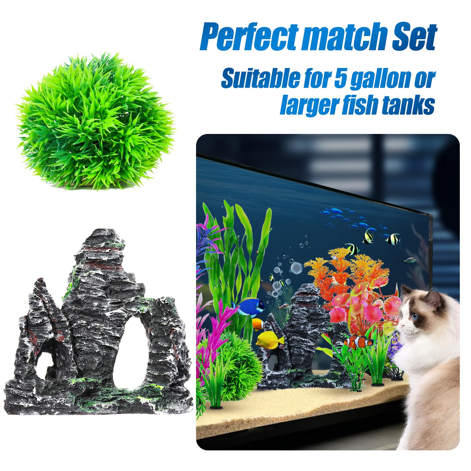 CousDUoBe tank setup illustrating easy placement in aquarium