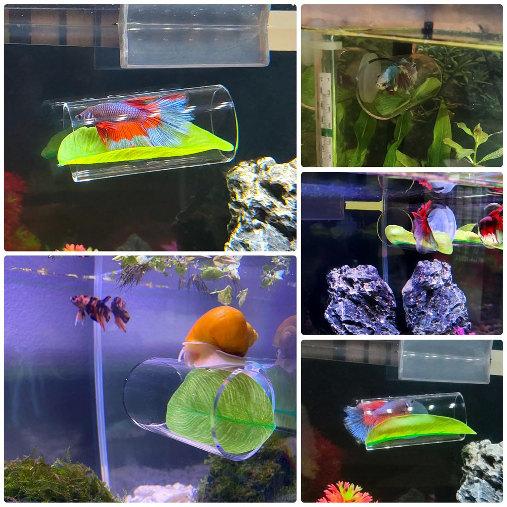 CousDUoBe Betta easy-clean removable leaf simplifies tank upkeep.