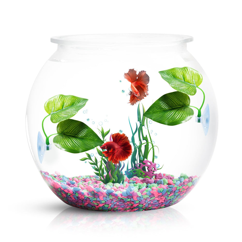 CousDUoBe Betta leaf pad bigger leaf provides comfy hammock for betta.