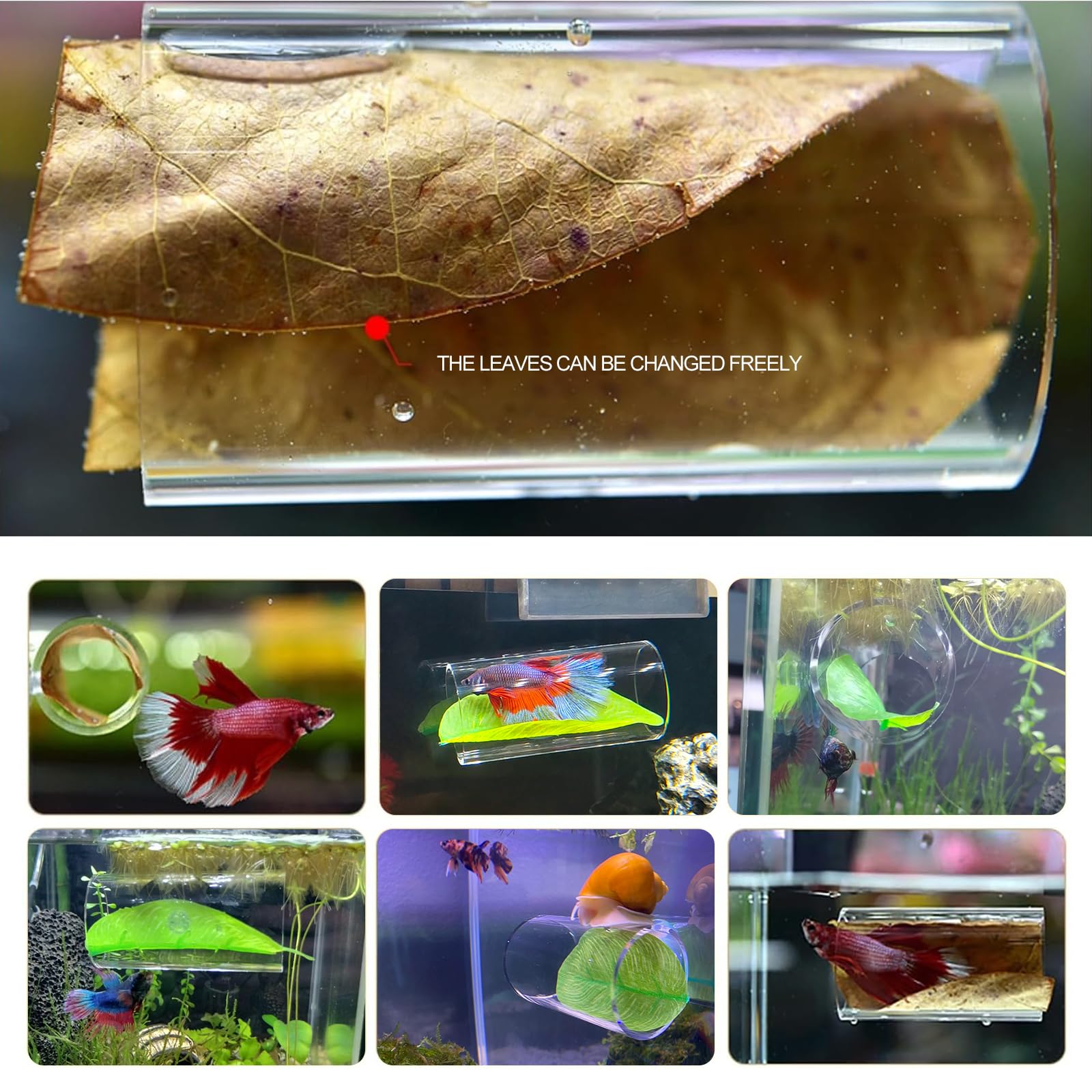 CousDUoBe Betta leaf pad combo creates natural resting space and tank decoration.