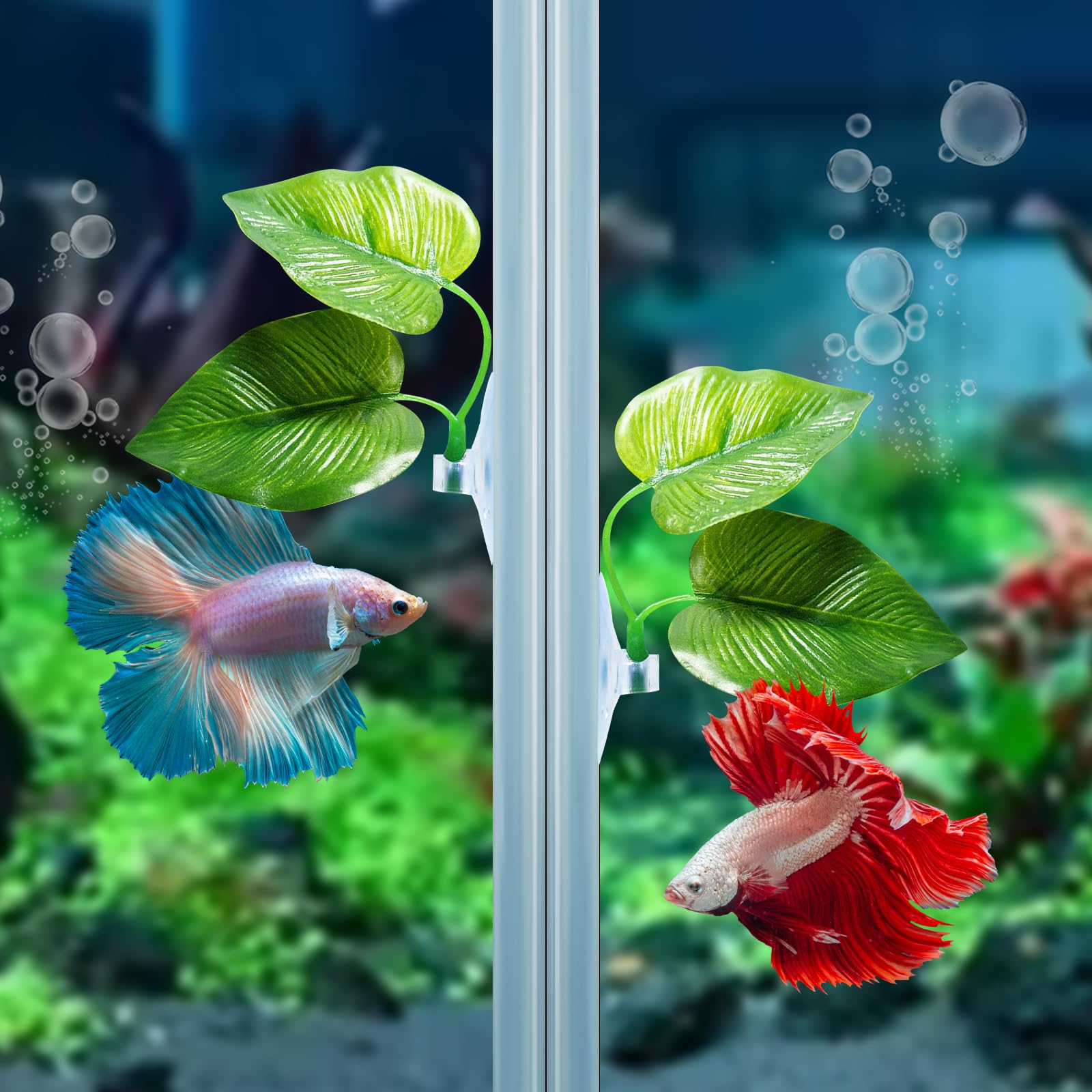 CousDUoBe Betta leaf pad in tank placement for easy aquarium customization.