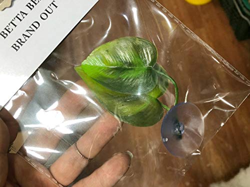CousDUoBe Betta leaf pad leaves sway with water movement.