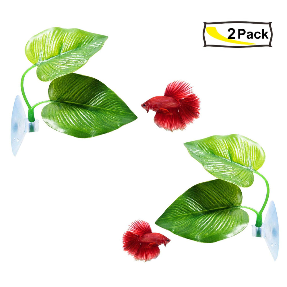 CousDUoBe Betta leaf pad set in tank enhances tank decor and comfort.