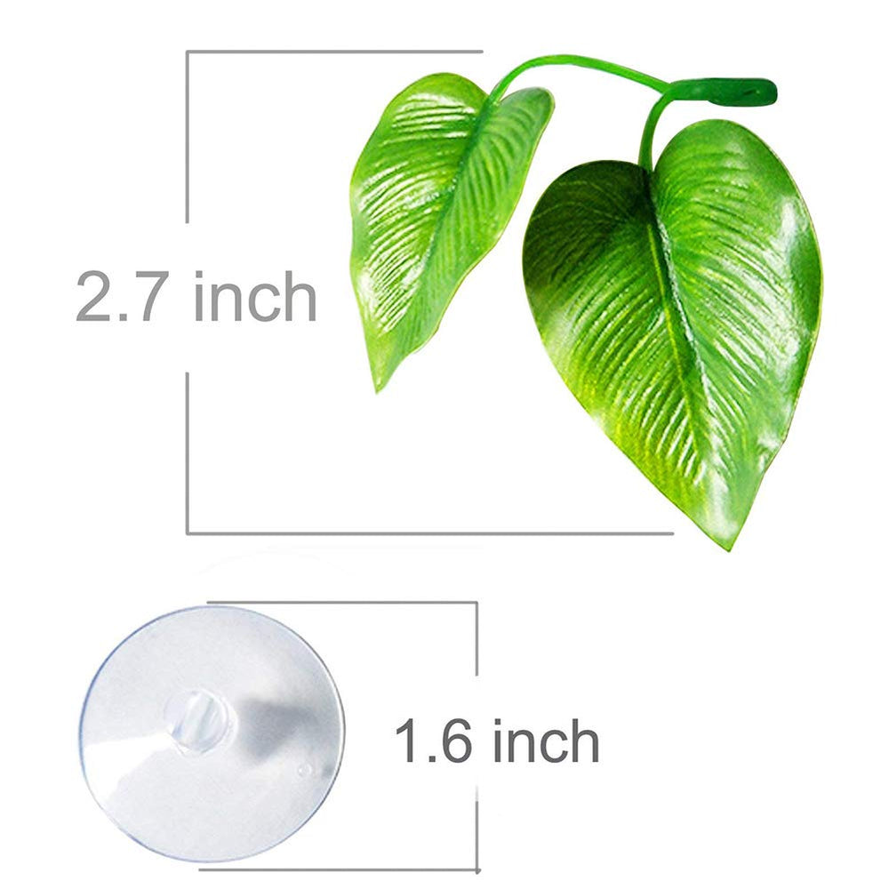CousDUoBe Betta leaf pad smaller leaf creates cozy resting nook.