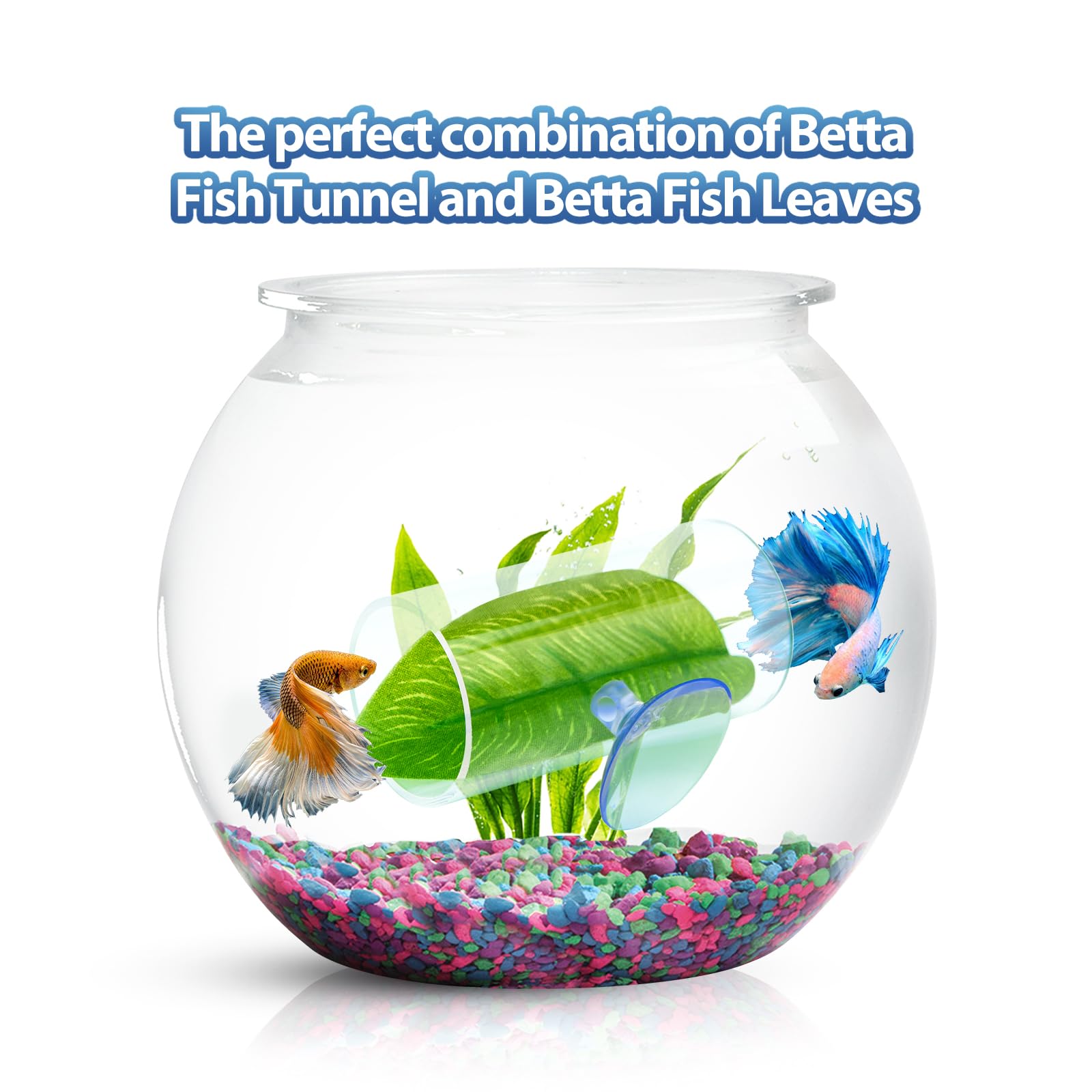 CousDUoBe Betta tunnel cleanable design makes maintenance quick and straightforward.