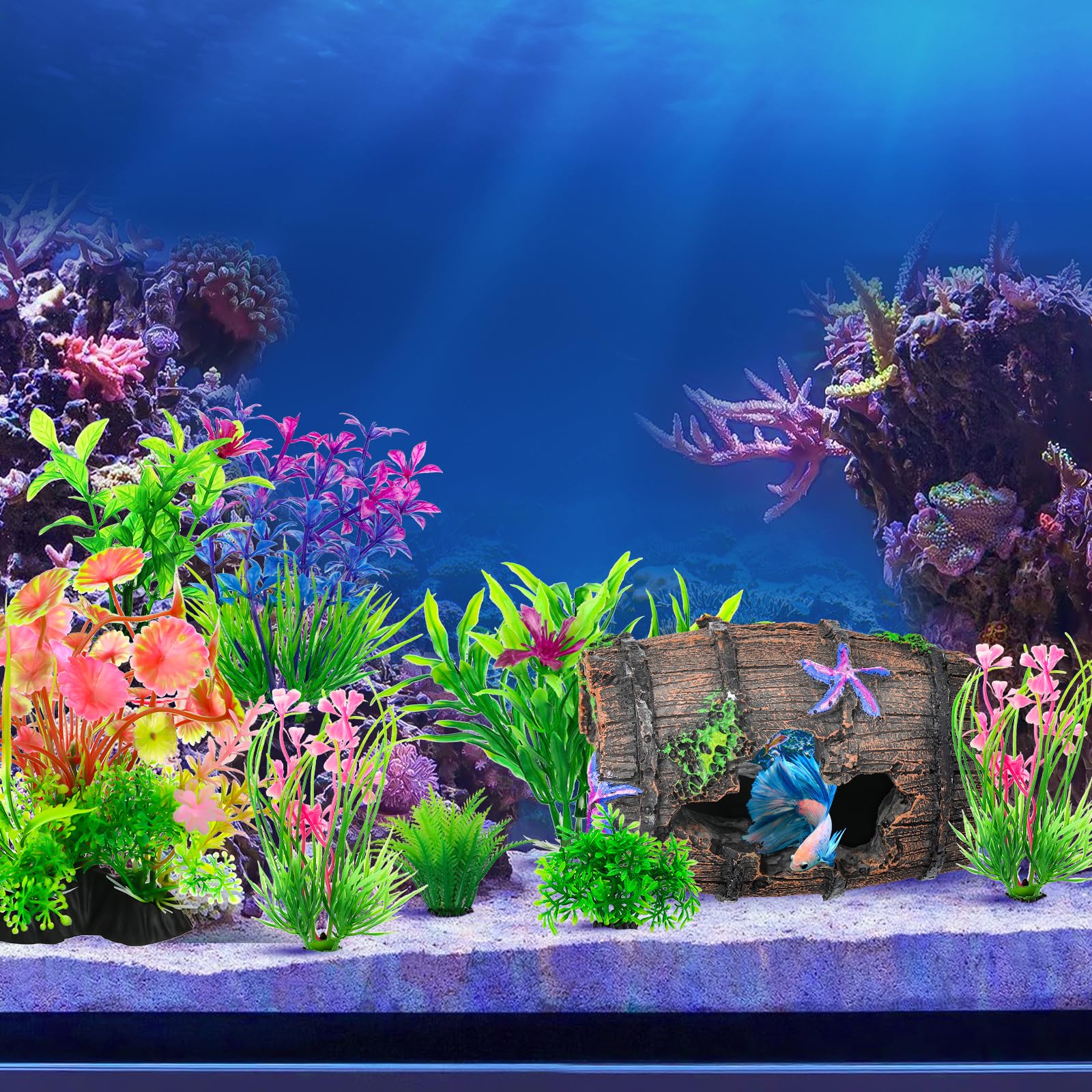 CousDUoBe betta tank decoration provides play, hiding, and rest.