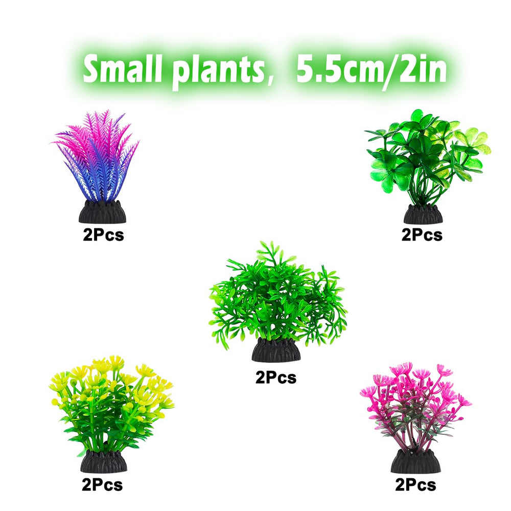 CousDUoBe comprehensive plant set fits various tank sizes and décor styles
