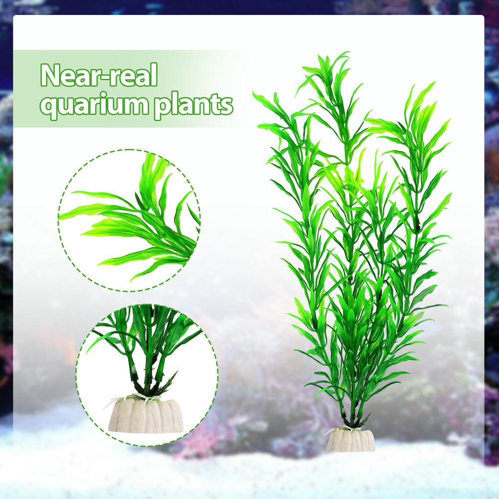 CousDUoBe safe for freshwater and saltwater environments, with no pH impact.