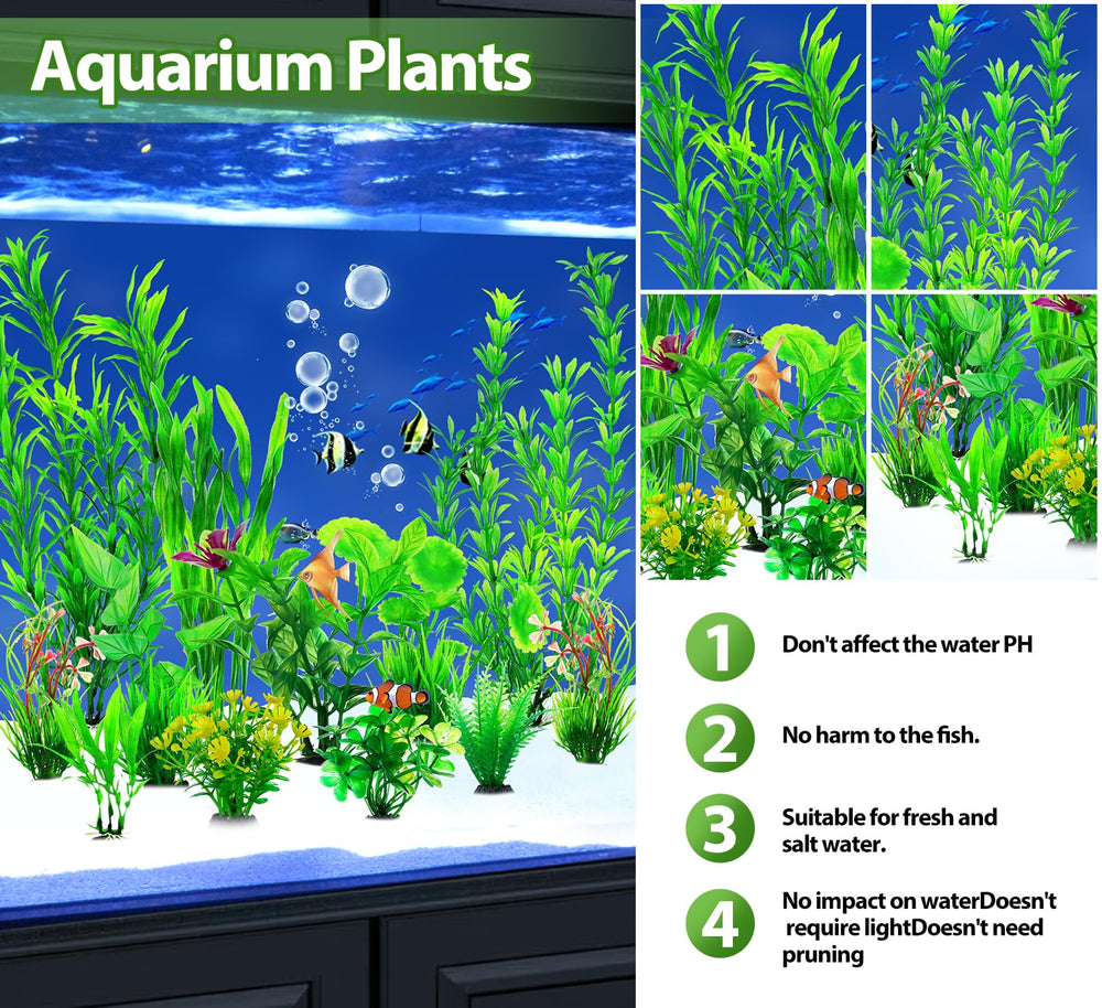 CousDUoBe green plant with base supports bacteria in gravel