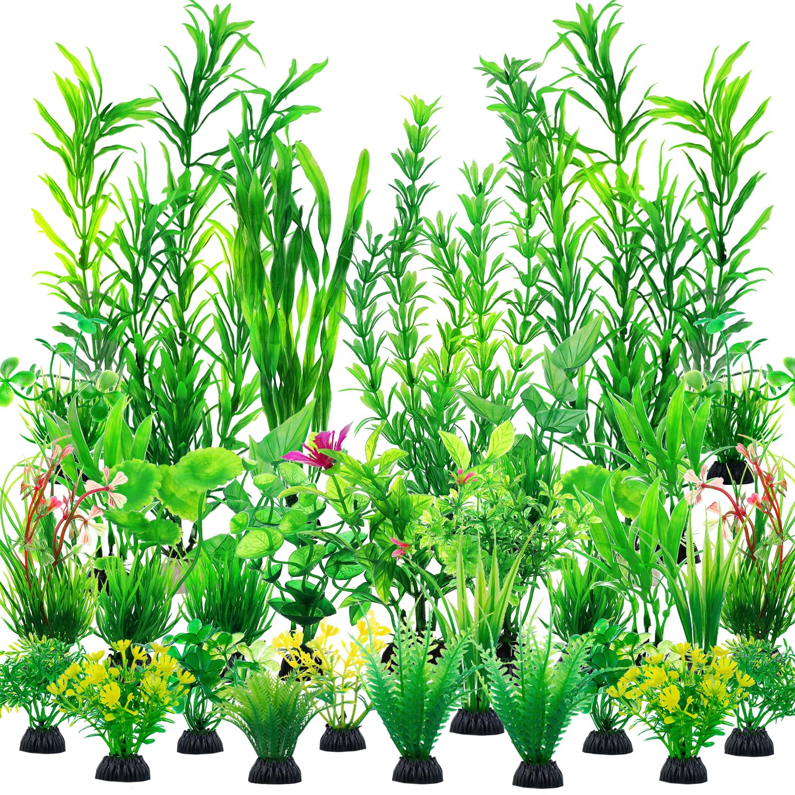 CousDUoBe green plants with varied heights enhance tank scenery and create natural hiding spots.