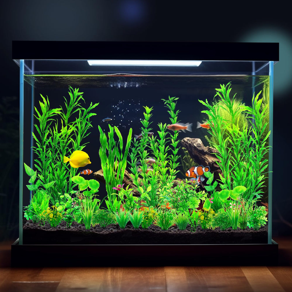CousDUoBe provides attachment space for nitrifying bacteria, supporting tank balance.