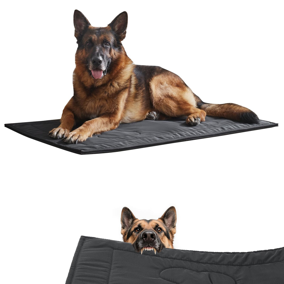 Couzssyhi Chew Proof Dog Crate Pad shows chew-resistant fabric ideal for heavy-chew dogs