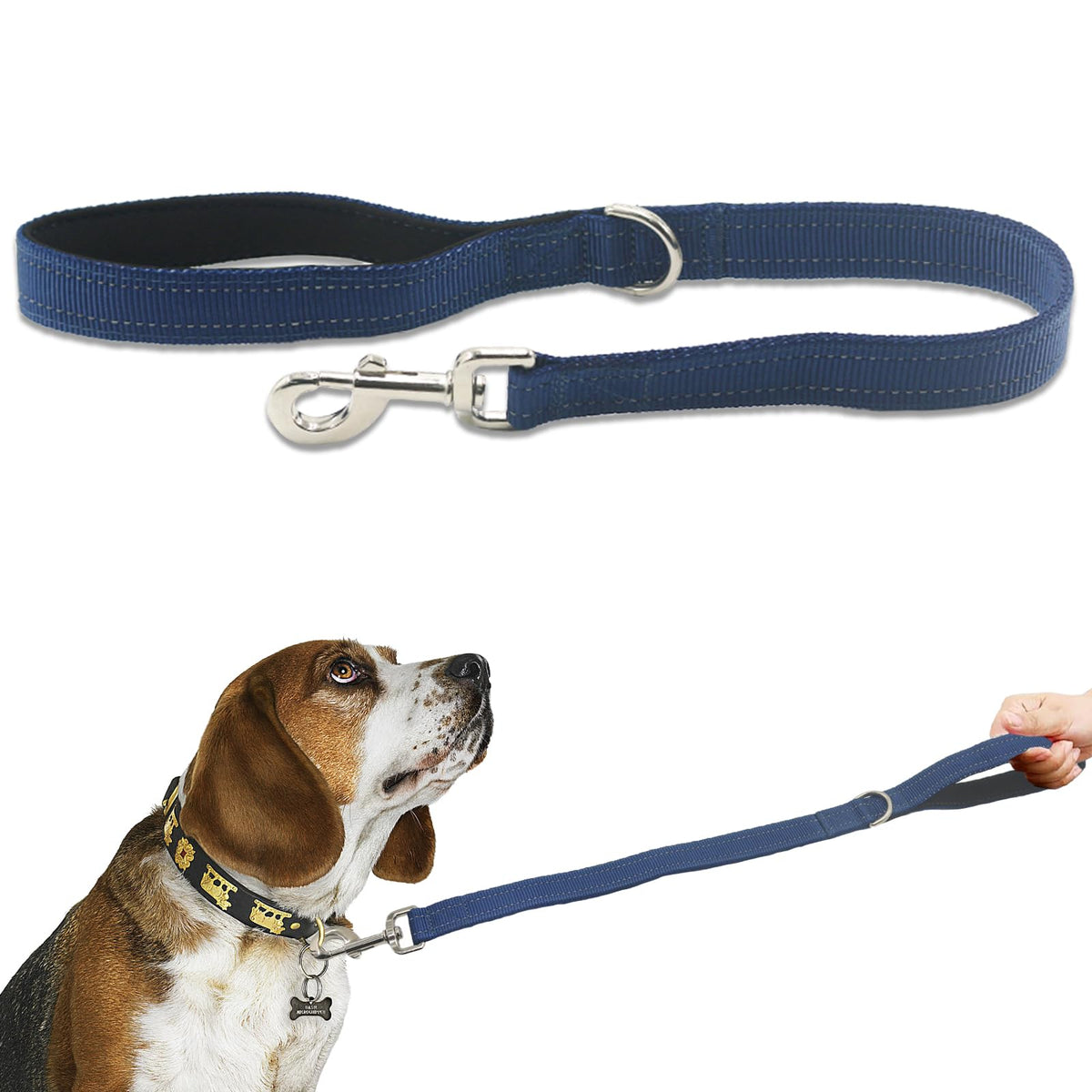 Cover Geny Nylon Short Leash 24in blue clip for durable daily control during walks.
