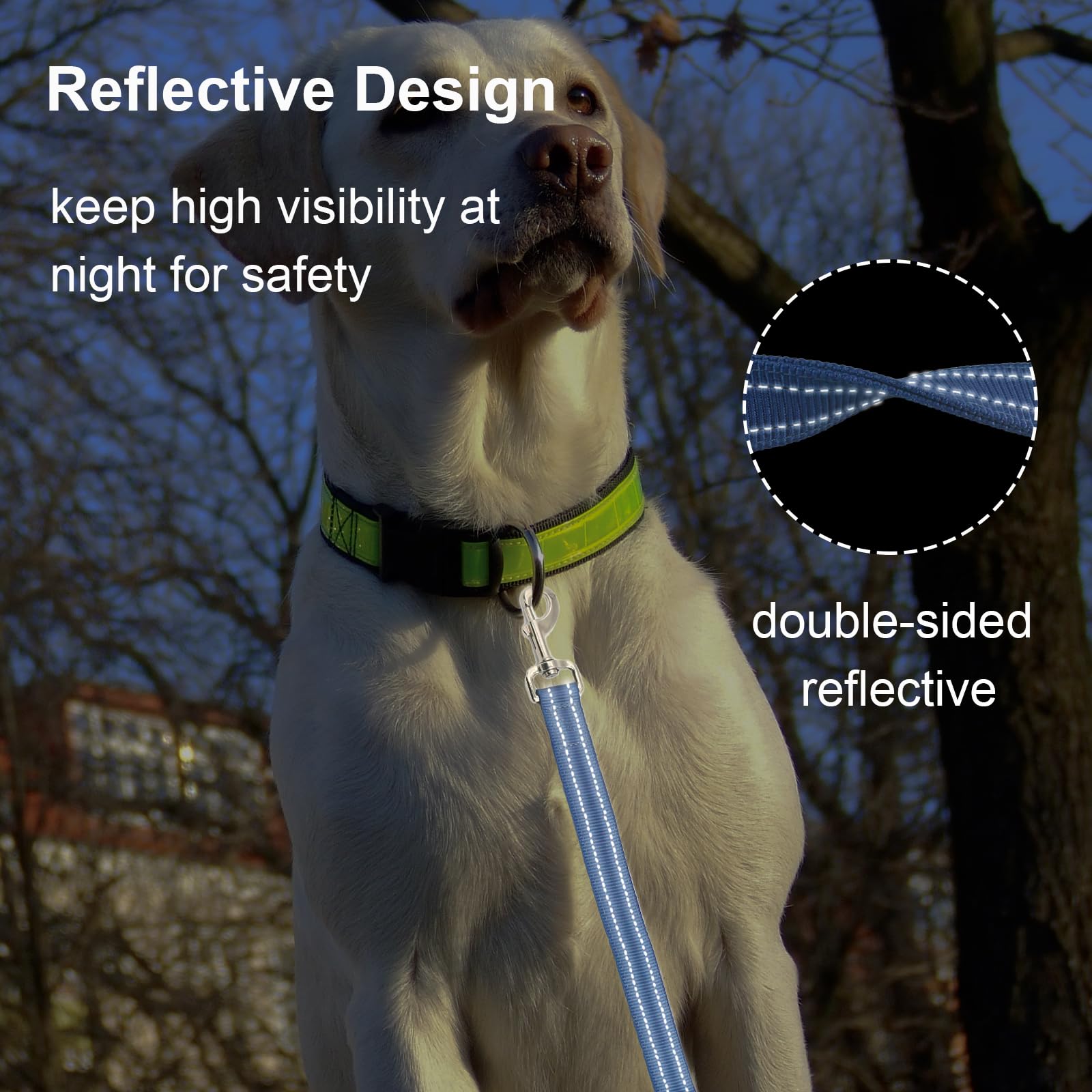 Cover Geny Nylon Short Leash 24in padded-handle for comfortable, shock-absorbing control.