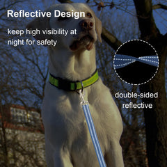 Cover Geny Nylon Short Leash 24in padded-handle for comfortable, shock-absorbing control.