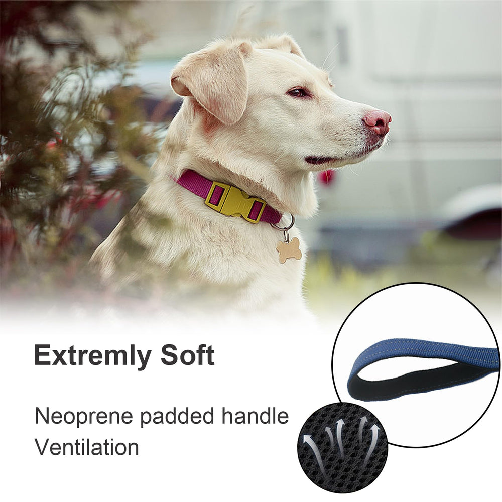 Cover Geny Nylon Short Leash 24in red clasp highlights grip-friendly training reliability.