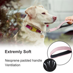 Cover Geny pink 1ft training leash side view with reflective stitching