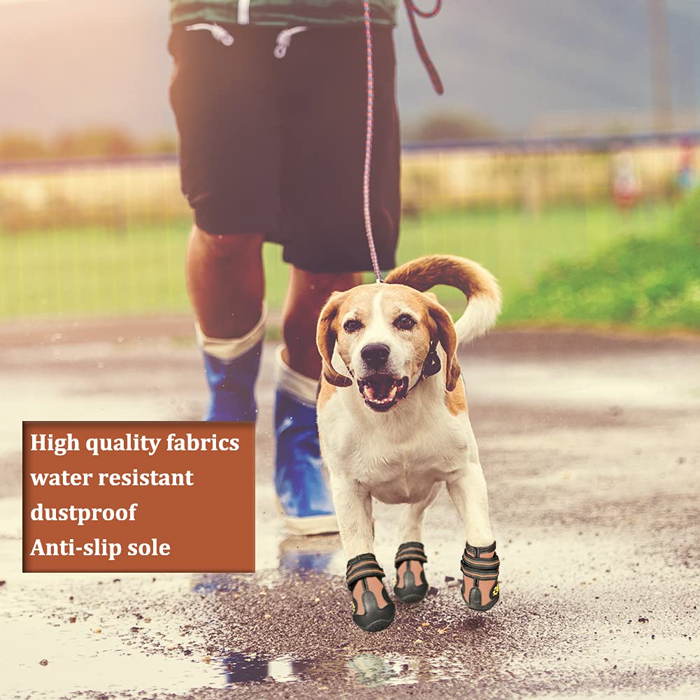 CovertSafe size chart image helps choosing the right paw-friendly fit