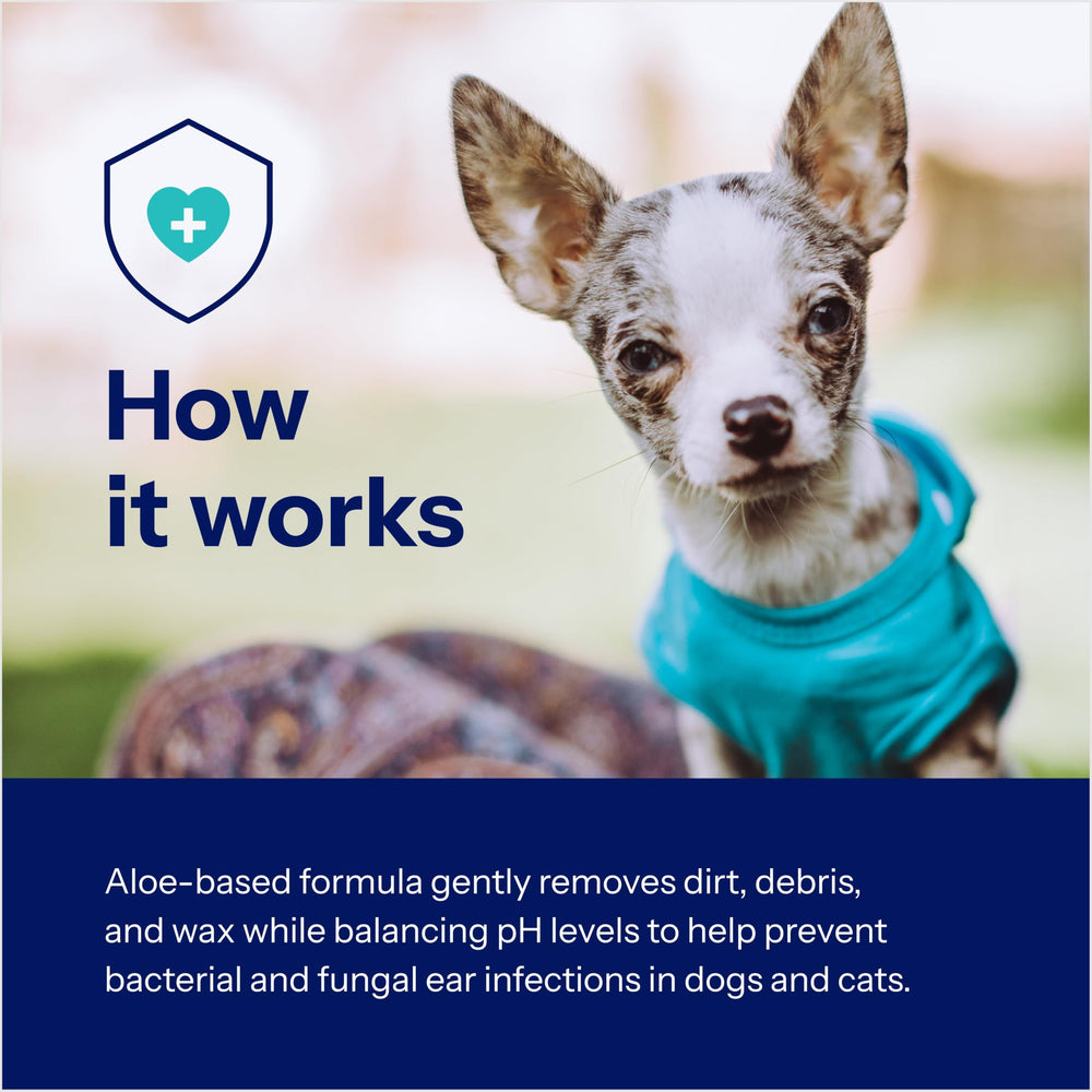 Covetrus Aloe Otic Cleaning Solution dries the ear canal after swimming