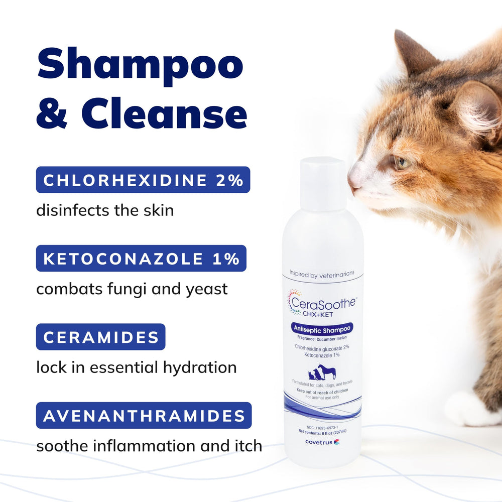 Dog or horse being bathed with Covetrus CeraSoothe CHX+KET shampoo