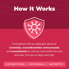 Covetrus CeraSoothe KET Antiseptic Flush foamy lather on animal skin.
