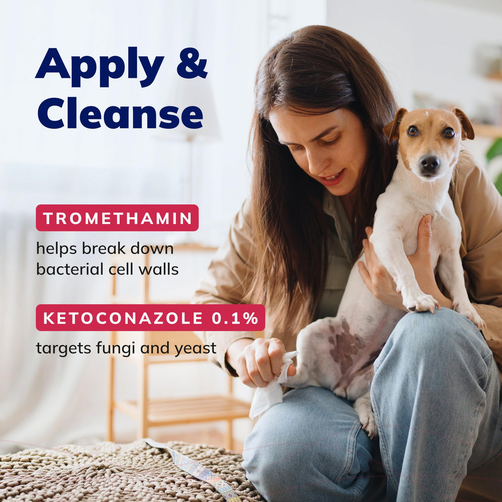 Covetrus CeraSoothe KET Antiseptic Flush in pet ear cleaning routine.