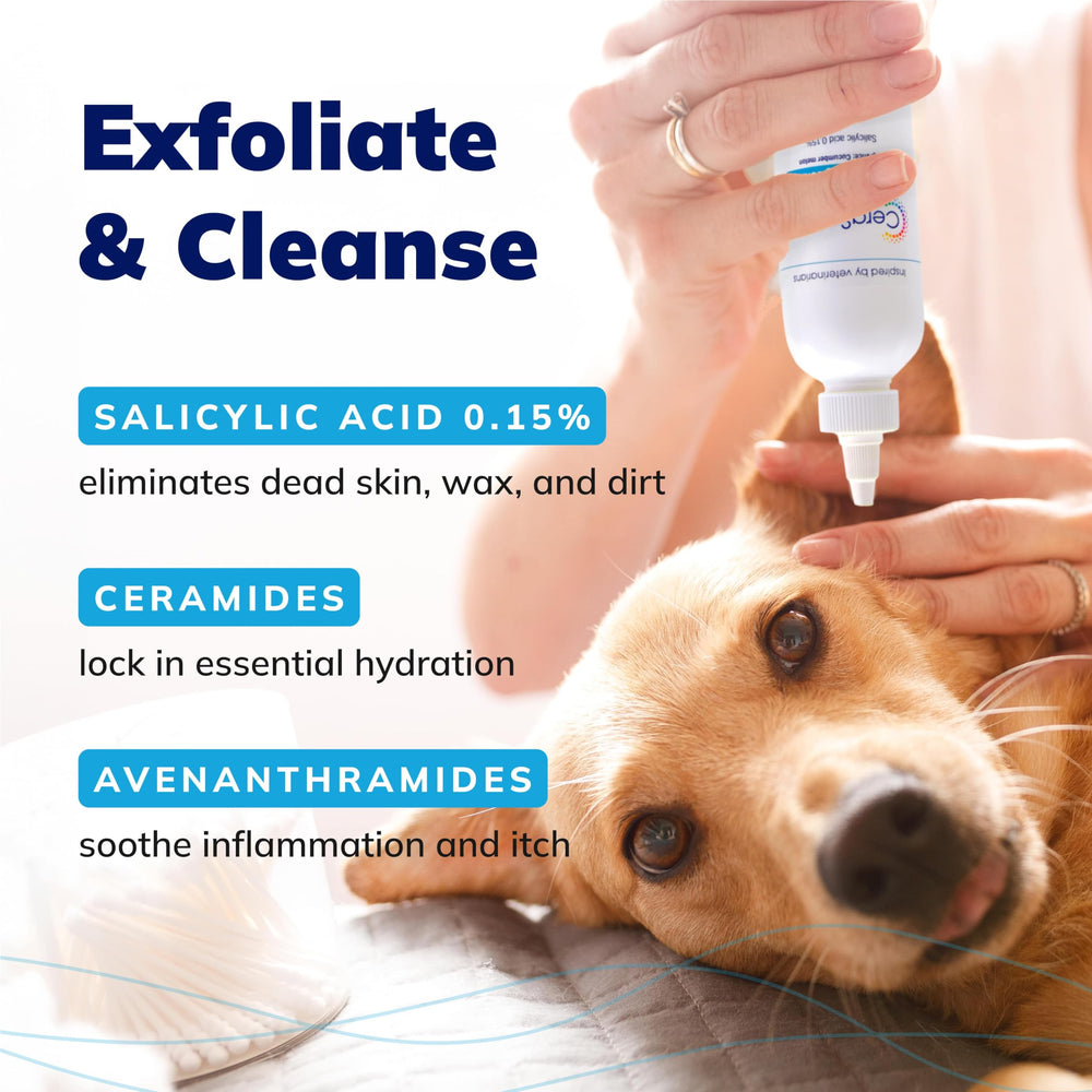 Cat ear care with Covetrus CeraSoothe Otic Solution for deodorizing ears