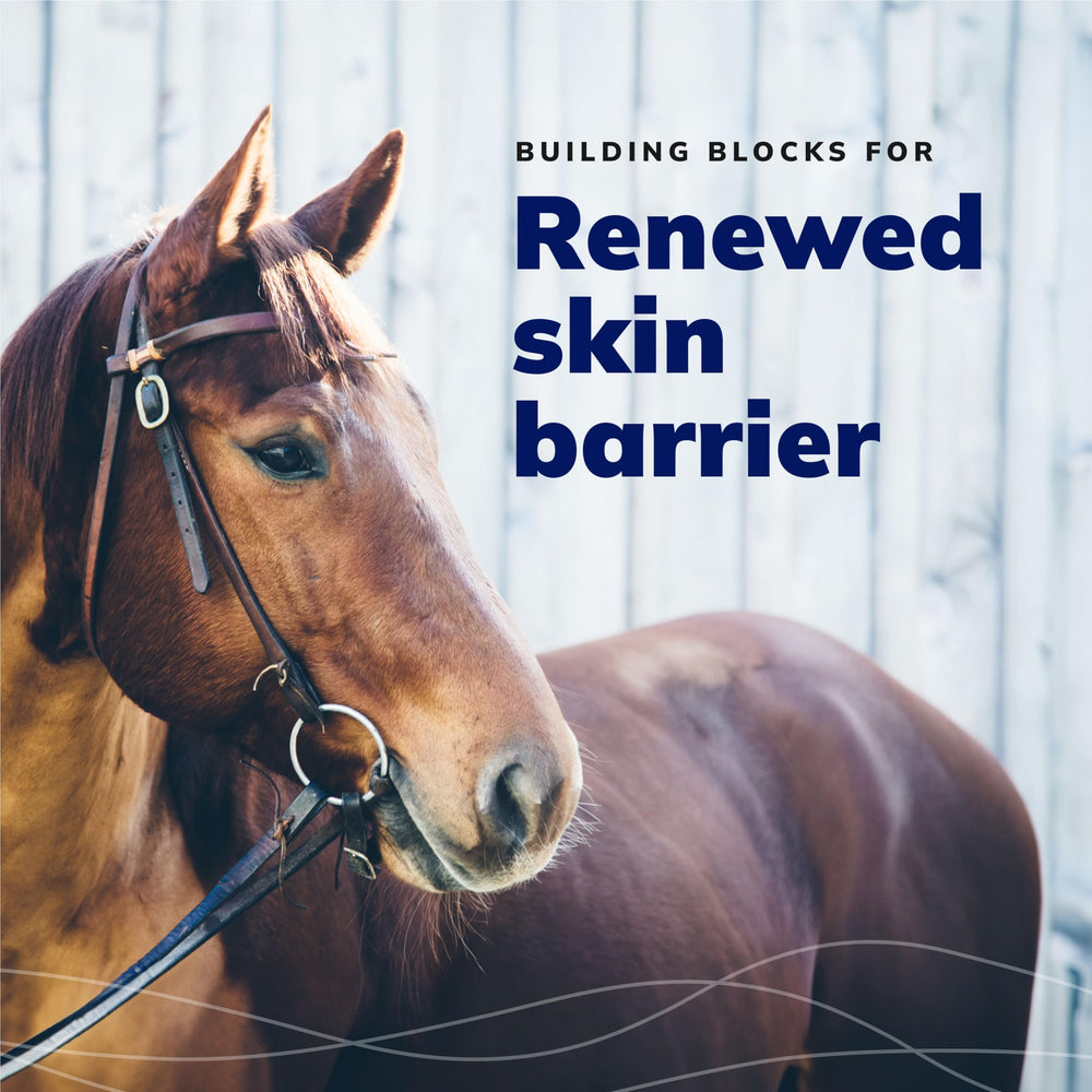 Horse ear cleaning using Covetrus CeraSoothe Otic Solution for gentle drying