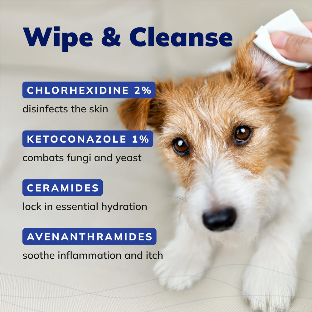 Covetrus CeraSoothe Wipes ingredients closeup; ceramides and avenanthramides nourish and protect skin barrier.