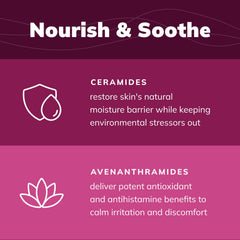 Covetrus CeraSoothe wipes package offering convenient on-the-go cleansing.