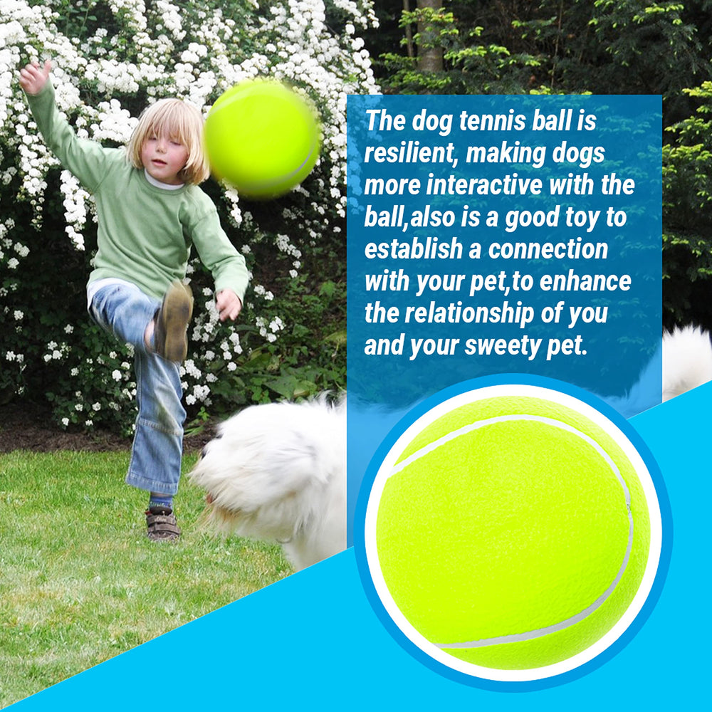 covgopi bright-green ball attracts dogs during training sessions.