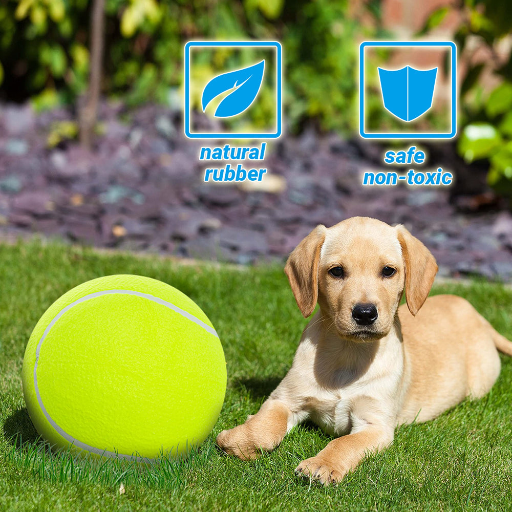 covgopi ball supports training, chasing, and interactive play.