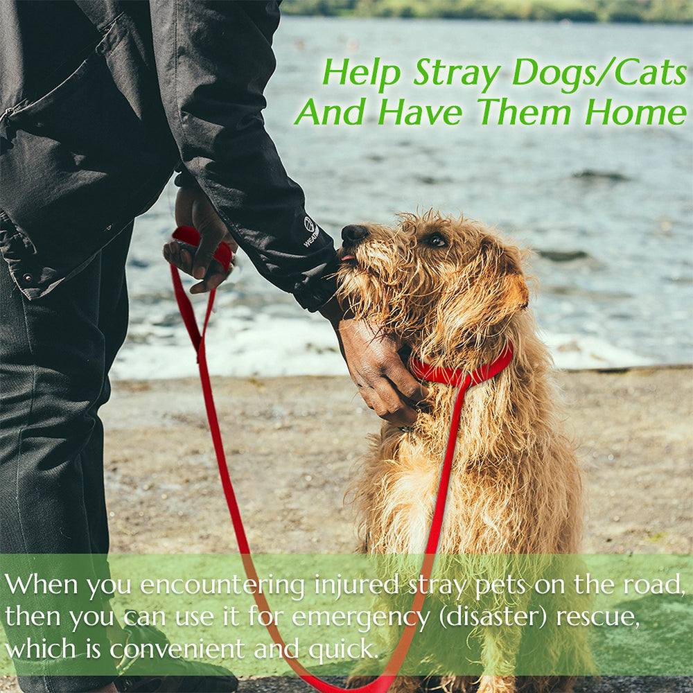 Covgopi slip lead red color set helps easy pet identification during walks