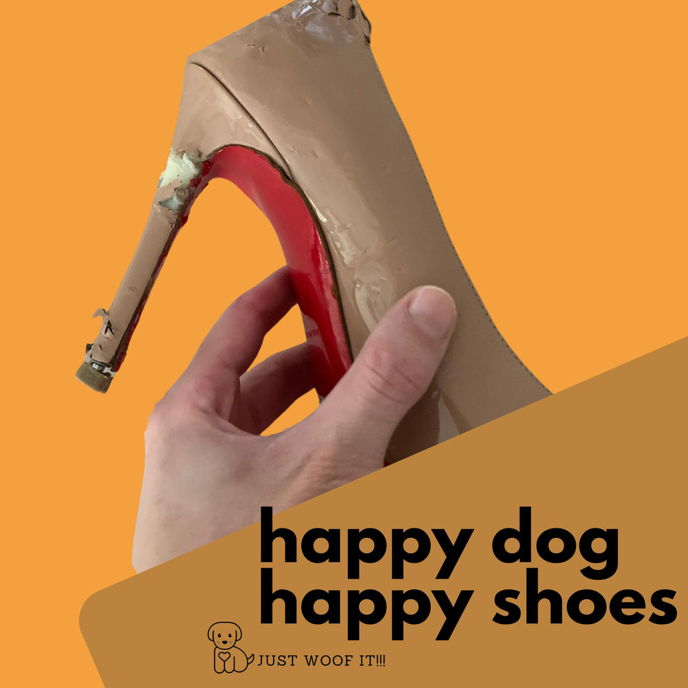 Cowdog Chews all-breed chew session showing versatile sizing for dogs.